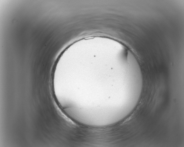 X0000063531518200602172228