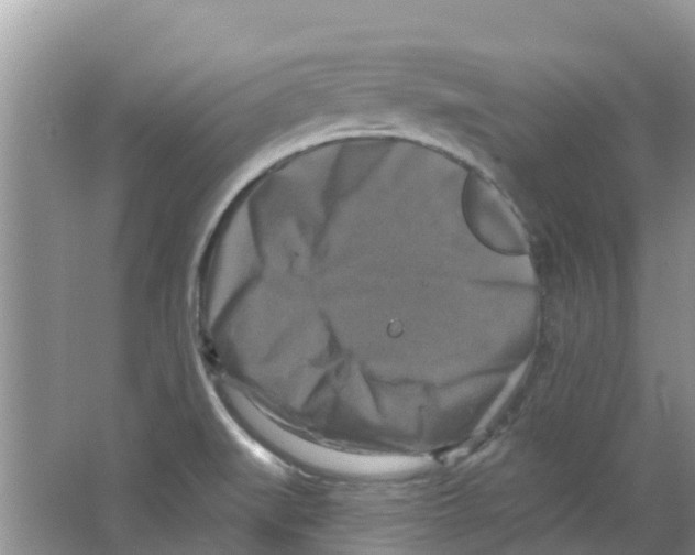 X0000063531519200602172228