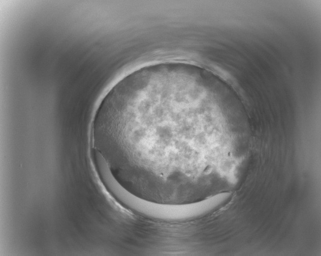 X0000063531520200602172228