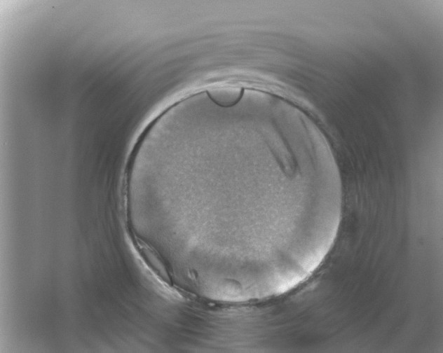 X0000063531522200602172228