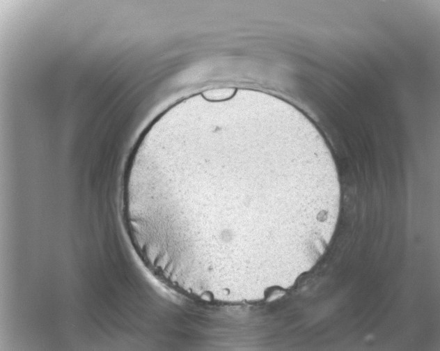 X0000063531523200602172229