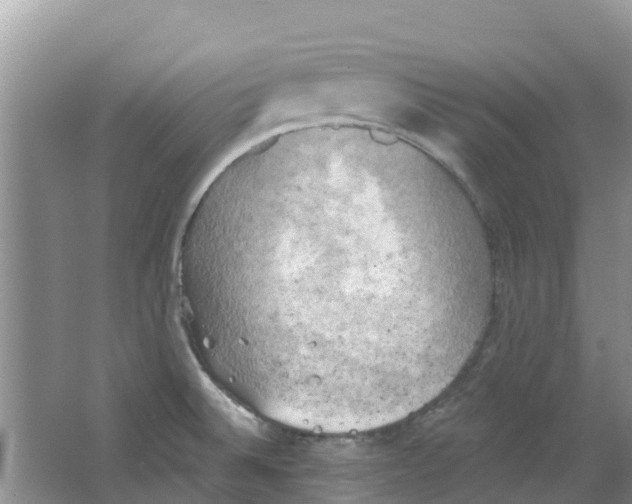 X0000063531524200602172229