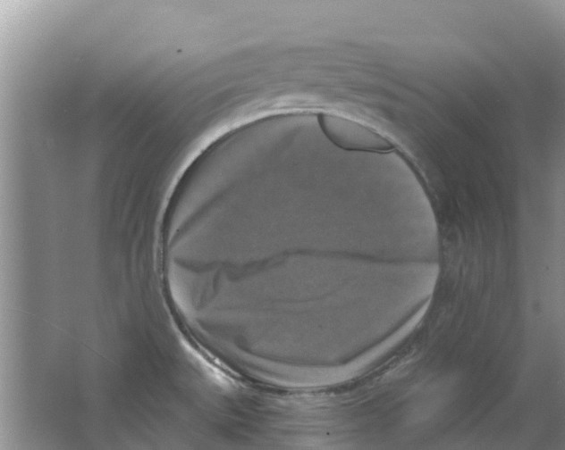 X0000063531527200602172229