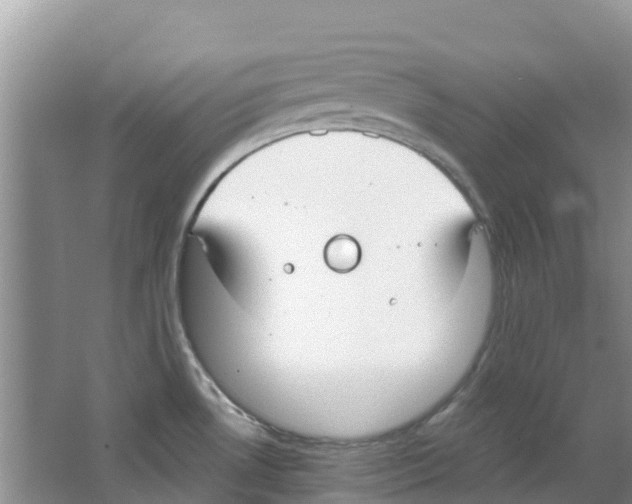 X0000063531530200602172229