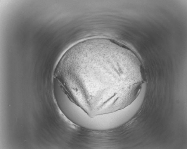 X0000063531532200602172229