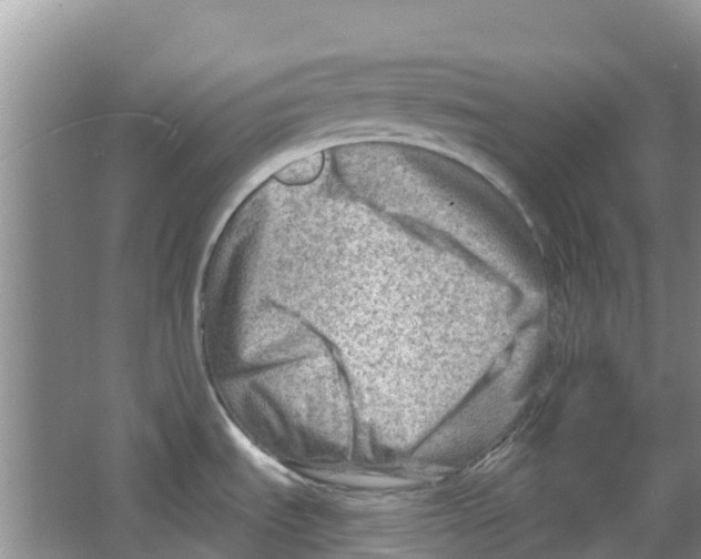 X0000063531535200602172229