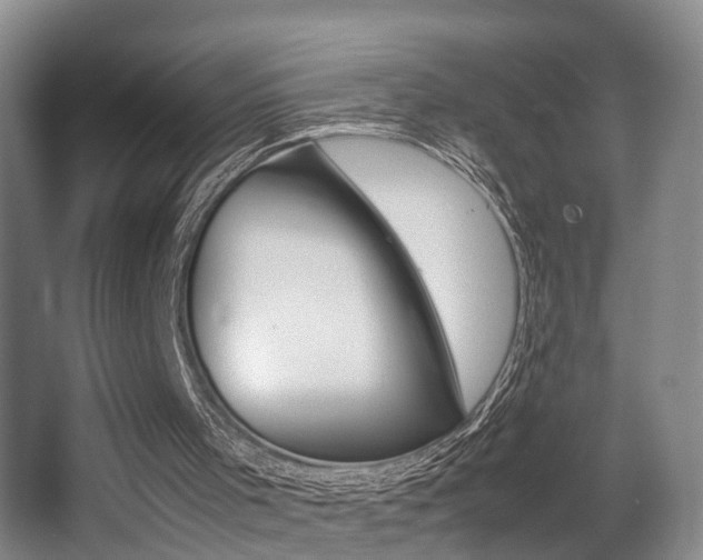 X0000064040001200601270944