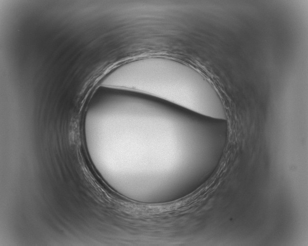 X0000064040002200601270944