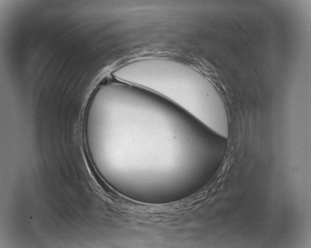 X0000064040003200601270944