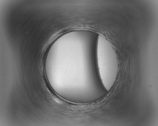 X0000064040005200601270944