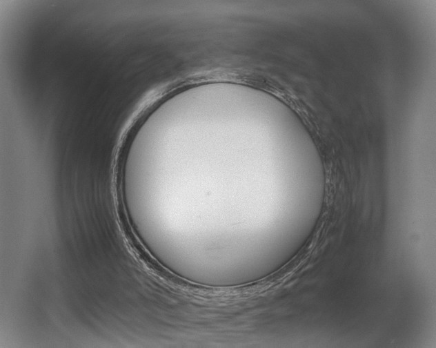 X0000064040006200601270944