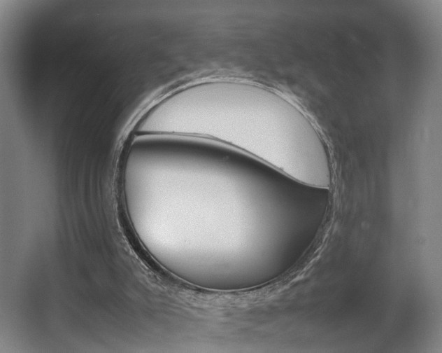 X0000064040007200601270944