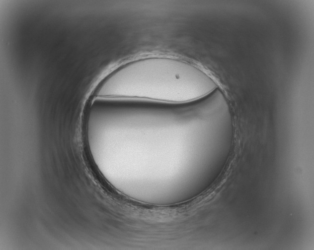 X0000064040008200601270944