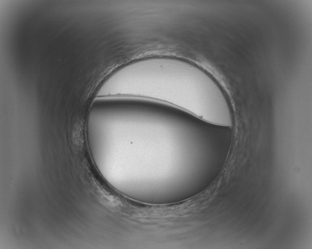 X0000064040009200601270944