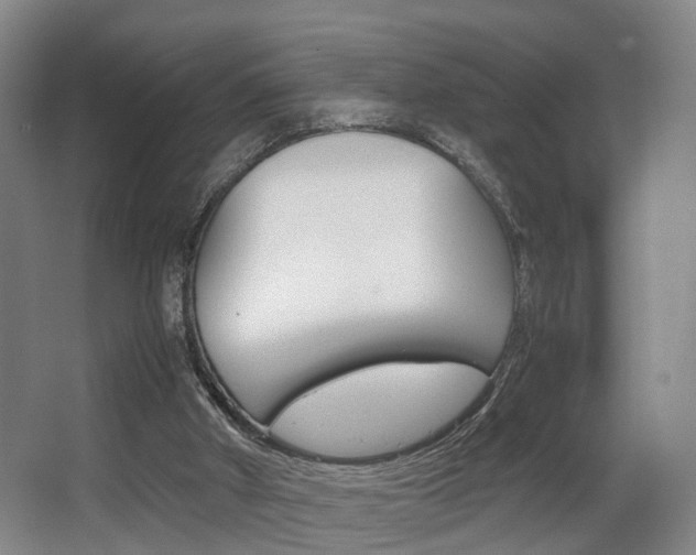 X0000064040010200601270944