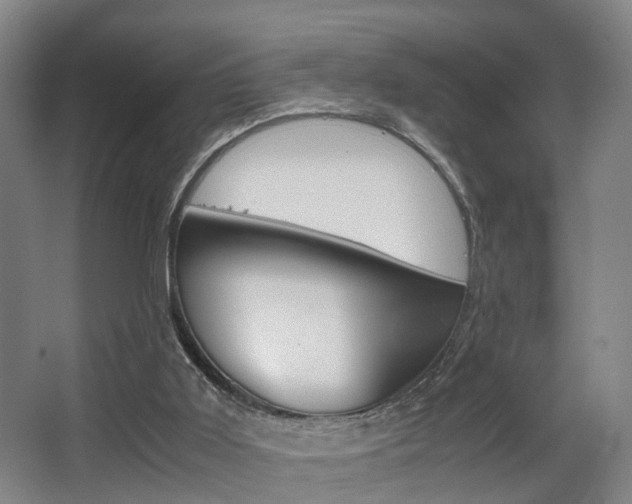 X0000064040011200601270944