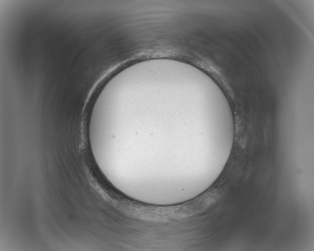 X0000064040012200601270944