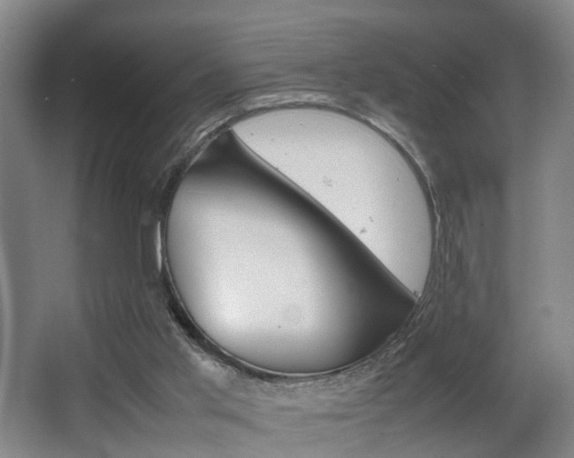 X0000064040013200601270944