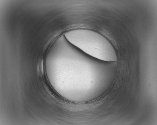 X0000064040014200601270944