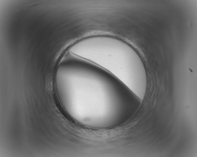 X0000064040015200601270944