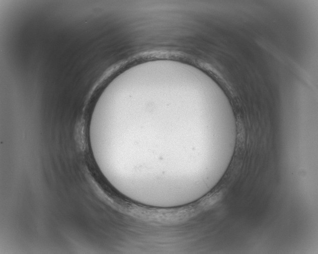 X0000064040016200601270944