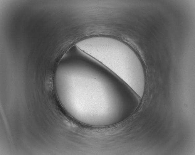 X0000064040017200601270944