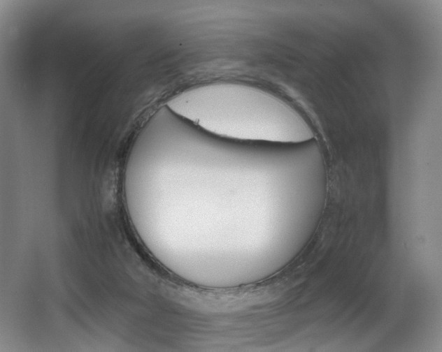 X0000064040018200601270944