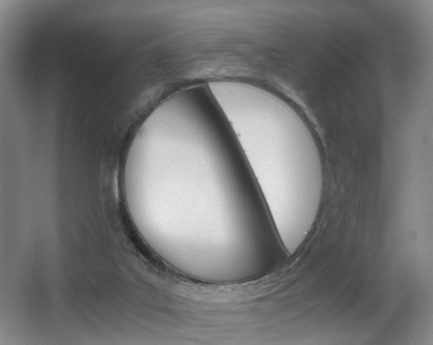 X0000064040019200601270944