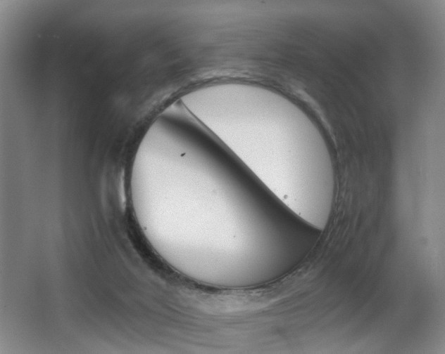 X0000064040020200601270944