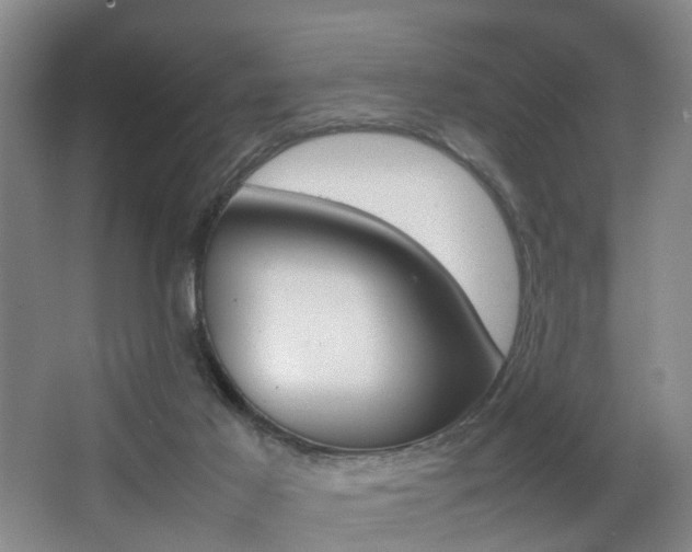 X0000064040021200601270944