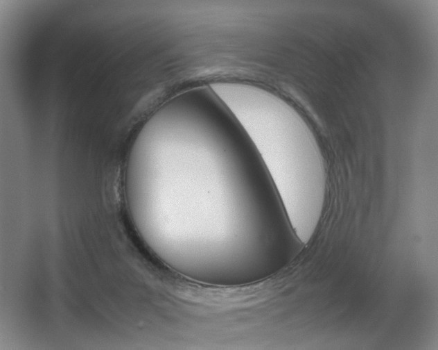 X0000064040023200601270944