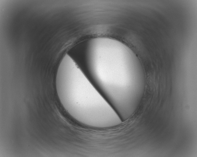 X0000064040024200601270944