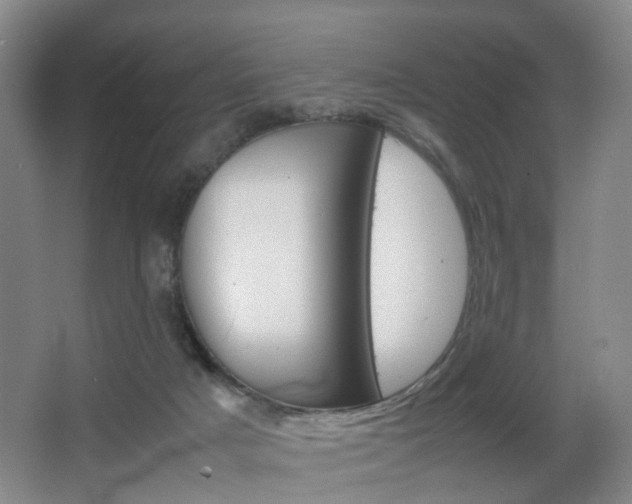 X0000064040025200601270944