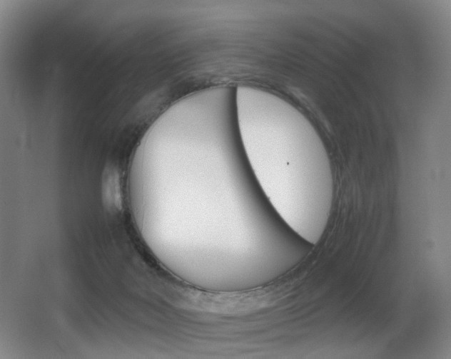 X0000064040026200601270944