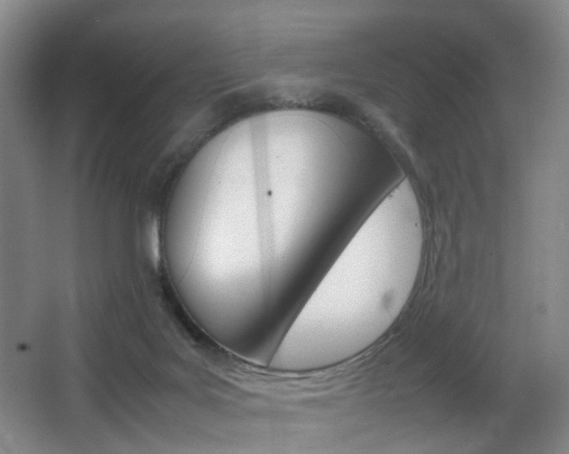 X0000064040027200601270944