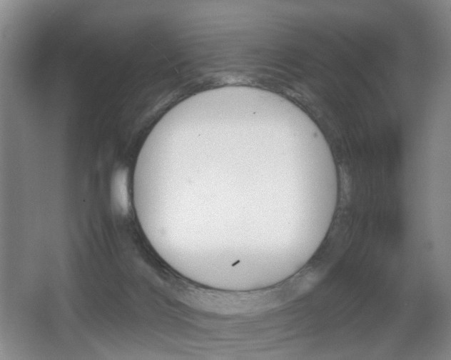 X0000064040028200601270944