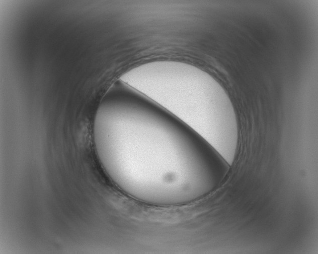 X0000064040029200601270944