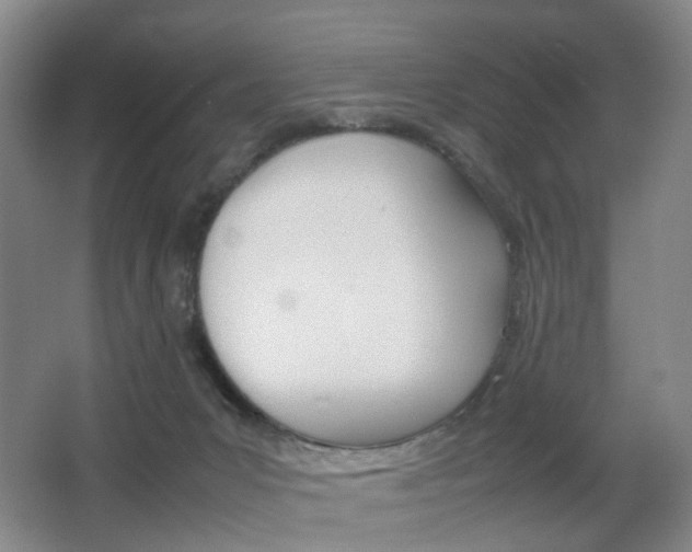 X0000064040031200601270944