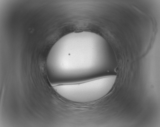 X0000064040033200601270944