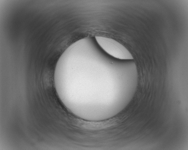 X0000064040034200601270944