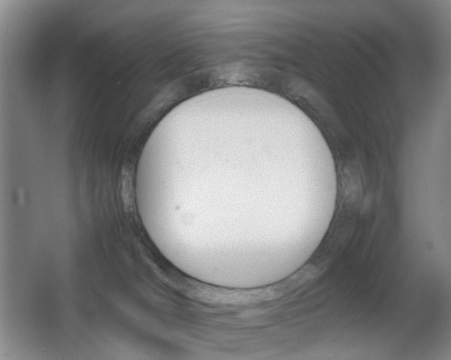 X0000064040036200601270944