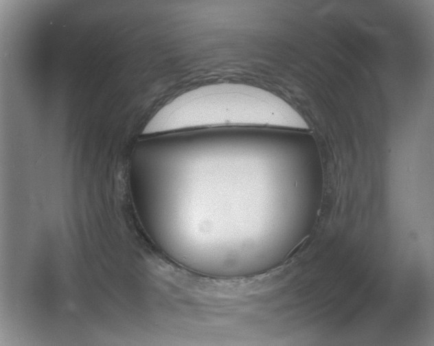 X0000064040037200601270944