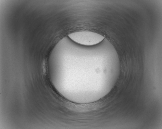 X0000064040038200601270944