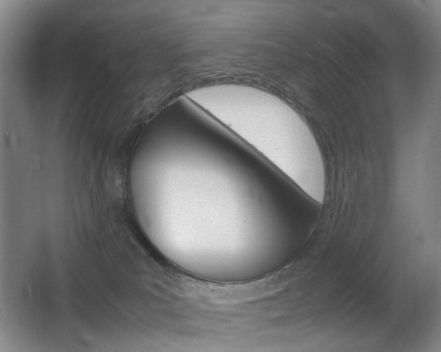 X0000064040039200601270944