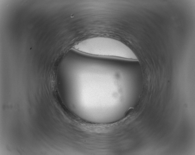 X0000064040040200601270944