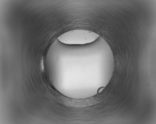 X0000064040042200601270944