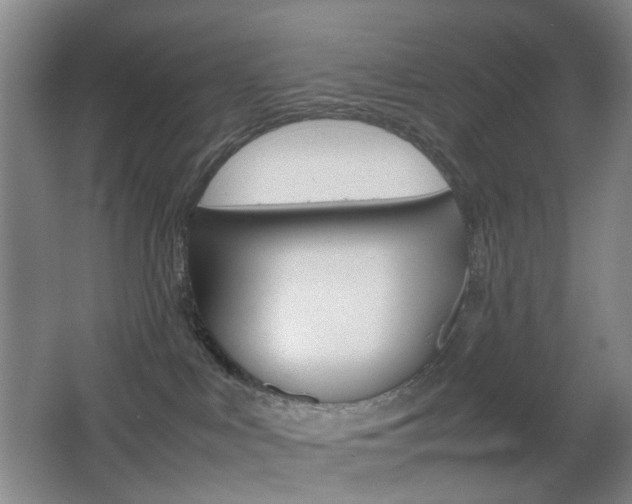 X0000064040043200601270944