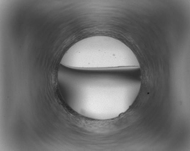 X0000064040044200601270943