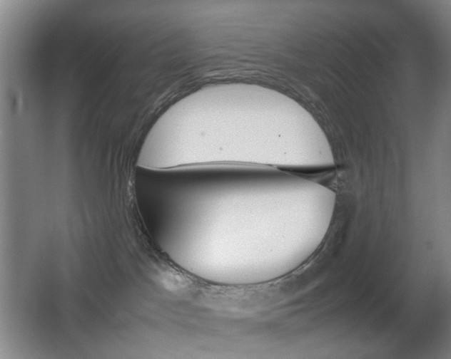 X0000064040045200601270943