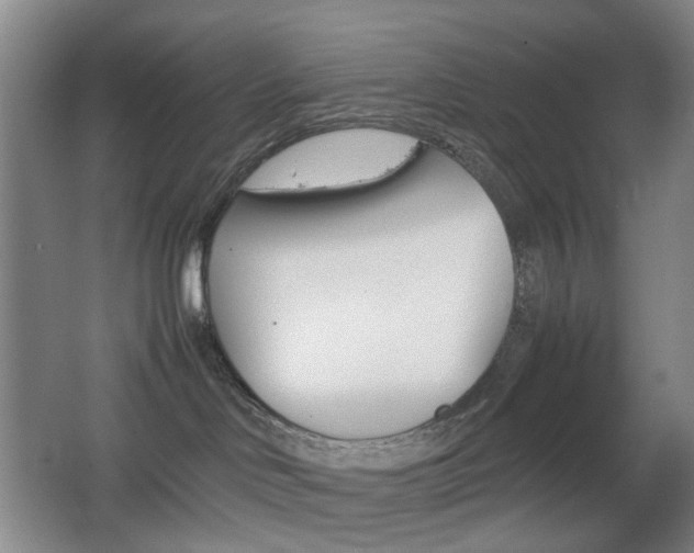 X0000064040046200601270943